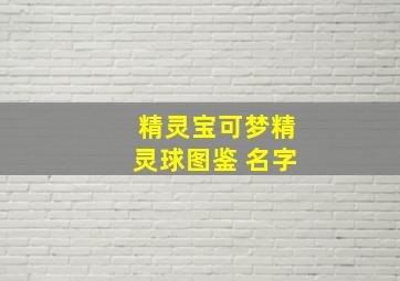 精灵宝可梦精灵球图鉴 名字